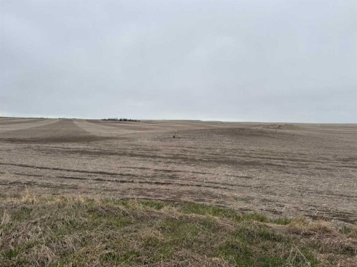 466 Ave E. & 336 St. E., Rural Vulcan County, AB 