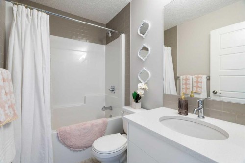 170 Seton Grove Se, Calgary, AB - Indoor Photo Showing Bathroom