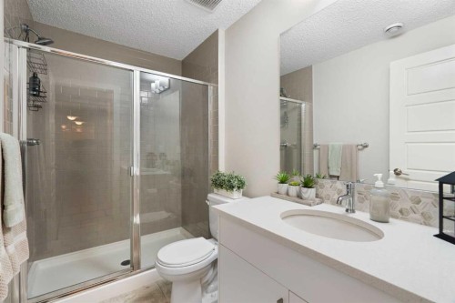 170 Seton Grove Se, Calgary, AB - Indoor Photo Showing Bathroom