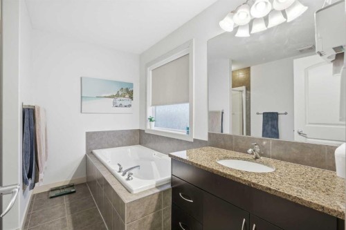 107 Everwoods Park Sw, Calgary, AB - Indoor Photo Showing Bathroom