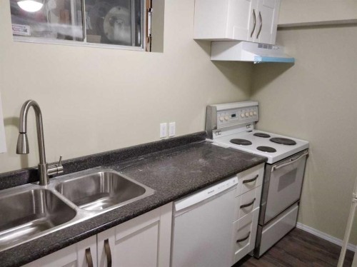 728 20 Avenue Nw, Calgary, AB - Indoor Photo Showing Kitchen With Double Sink