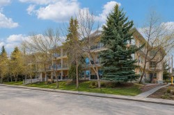 304-1919 31 Street SW Calgary, AB T3E 2M9