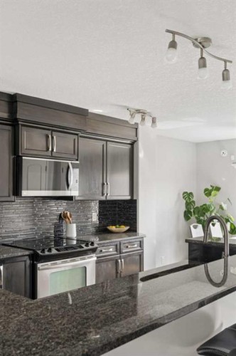 177 Walden Manor Se, Calgary, AB - Indoor Photo Showing Kitchen With Upgraded Kitchen