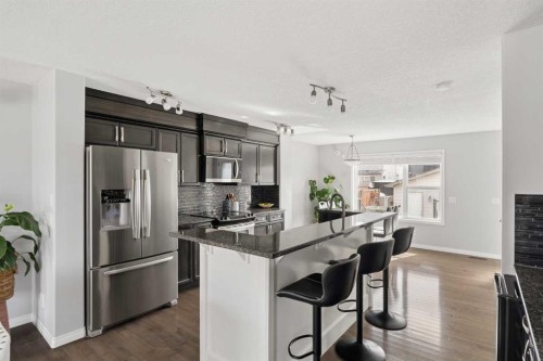 177 Walden Manor Se, Calgary, AB - Indoor Photo Showing Kitchen With Upgraded Kitchen