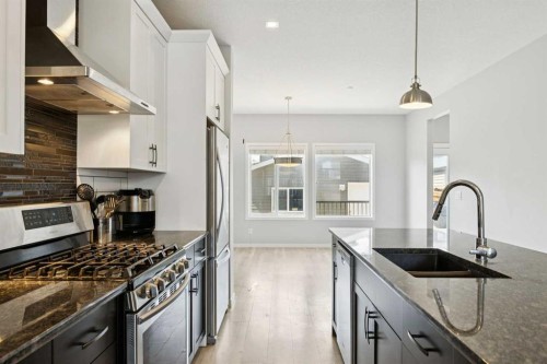 29 Howse Row Ne, Calgary, AB - Indoor Photo Showing Kitchen With Double Sink With Upgraded Kitchen