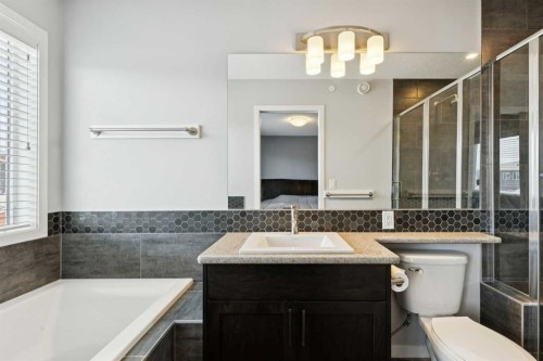 29 Howse Row Ne, Calgary, AB - Indoor Photo Showing Bathroom