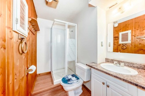 43 Mckenna Way Se, Calgary, AB - Indoor Photo Showing Bathroom