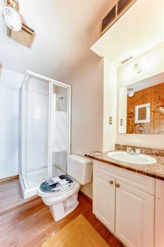43 Mckenna Way Se, Calgary, AB - Indoor Photo Showing Bathroom