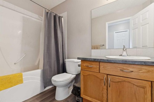 35 Saddletree Drive Ne, Calgary, AB - Indoor Photo Showing Bathroom