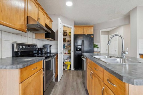 35 Saddletree Drive Ne, Calgary, AB - Indoor Photo Showing Kitchen With Double Sink