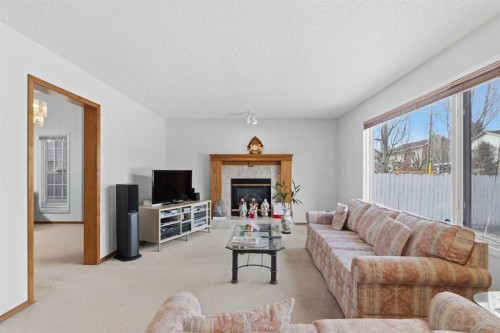 28 Sunlake Circle Se, Calgary, AB - Indoor Photo Showing Living Room With Fireplace