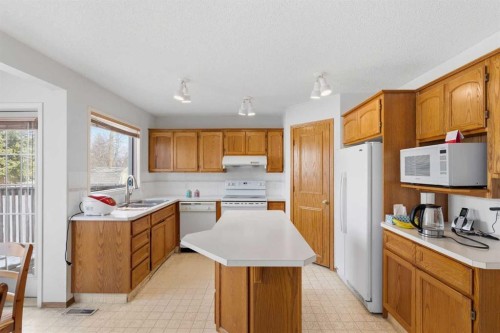 28 Sunlake Circle Se, Calgary, AB - Indoor Photo Showing Kitchen With Double Sink