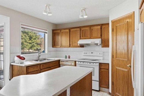 28 Sunlake Circle Se, Calgary, AB - Indoor Photo Showing Kitchen With Double Sink
