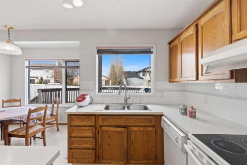 28 Sunlake Circle Se, Calgary, AB - Indoor Photo Showing Kitchen With Double Sink