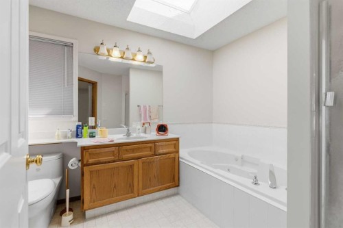28 Sunlake Circle Se, Calgary, AB - Indoor Photo Showing Bathroom