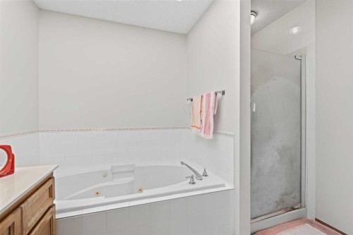 28 Sunlake Circle Se, Calgary, AB - Indoor Photo Showing Bathroom