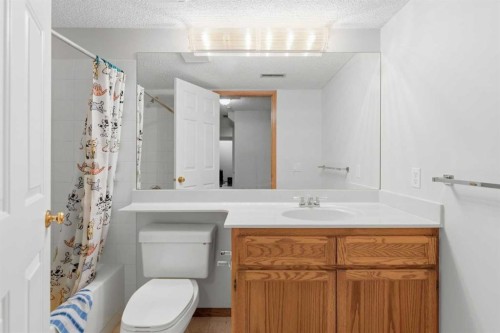 28 Sunlake Circle Se, Calgary, AB - Indoor Photo Showing Bathroom