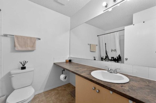 32 Erin Woods Court Se, Calgary, AB - Indoor Photo Showing Bathroom