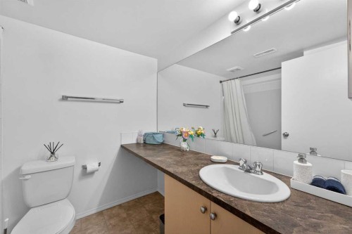 32 Erin Woods Court Se, Calgary, AB - Indoor Photo Showing Bathroom