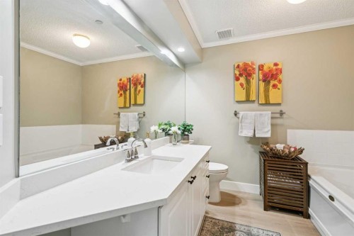 314-910 70 Avenue Sw, Calgary, AB - Indoor Photo Showing Bathroom