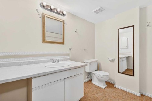 204-36 Glenbrook Crescent, Cochrane, AB - Indoor Photo Showing Bathroom