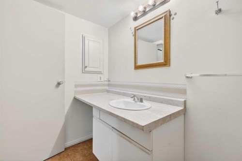204-36 Glenbrook Crescent, Cochrane, AB - Indoor Photo Showing Bathroom
