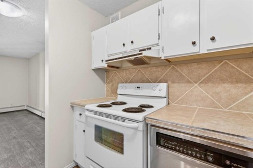 204-36 Glenbrook Crescent, Cochrane, AB - Indoor Photo Showing Kitchen