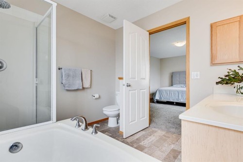 281 Bridlemeadows Common Sw, Calgary, AB - Indoor Photo Showing Bathroom