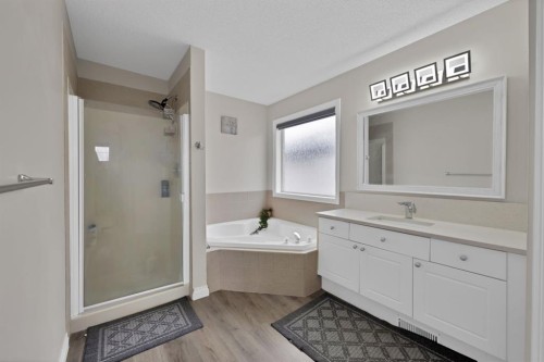 2386 Fairways Circle Nw, Airdrie, AB - Indoor Photo Showing Bathroom