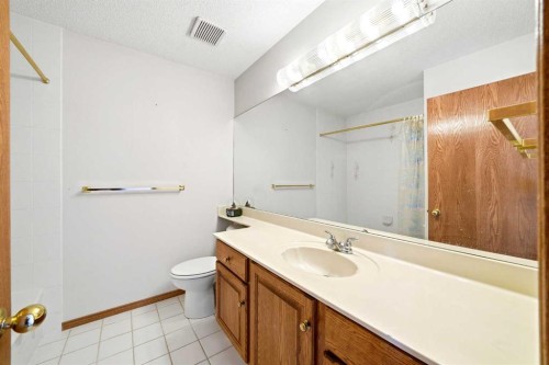 6 Christie Briar Lane Sw, Calgary, AB - Indoor Photo Showing Bathroom