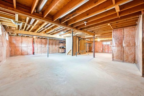 6 Christie Briar Lane Sw, Calgary, AB - Indoor Photo Showing Basement