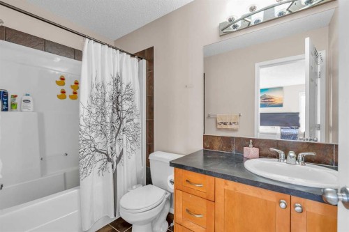 61 Taralake Street Ne, Calgary, AB - Indoor Photo Showing Bathroom