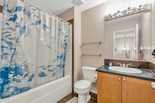 61 Taralake Street Ne, Calgary, AB - Indoor Photo Showing Bathroom