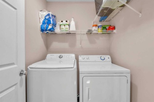 61 Taralake Street Ne, Calgary, AB - Indoor Photo Showing Laundry Room