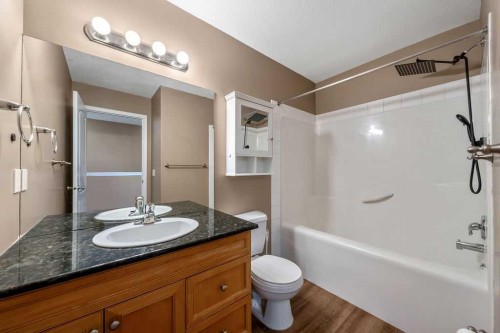 108 Sunrise Terrace Ne, High River, AB - Indoor Photo Showing Bathroom