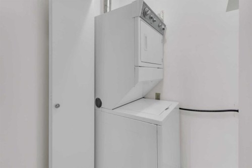 2831 Dovely Park Se, Calgary, AB - Indoor Photo Showing Laundry Room