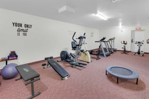 2831 Dovely Park Se, Calgary, AB - Indoor Photo Showing Gym Room