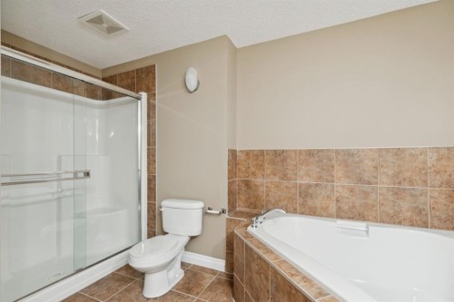 108-990 Centre Avenue Ne, Calgary, AB - Indoor Photo Showing Bathroom