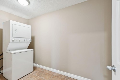 108-990 Centre Avenue Ne, Calgary, AB - Indoor Photo Showing Laundry Room