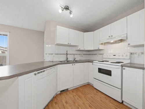 128 Taradale Drive Ne, Calgary, AB - Indoor Photo Showing Kitchen With Double Sink
