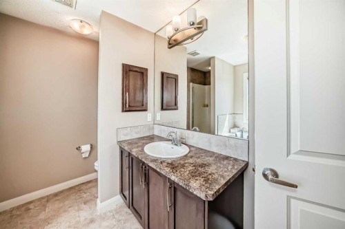 367 Evanspark Gardens Nw, Calgary, AB - Indoor Photo Showing Bathroom