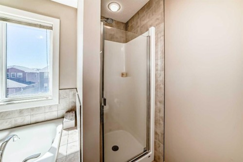 367 Evanspark Gardens Nw, Calgary, AB - Indoor Photo Showing Bathroom