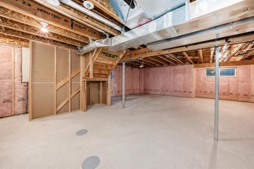 367 Evanspark Gardens Nw, Calgary, AB - Indoor Photo Showing Basement
