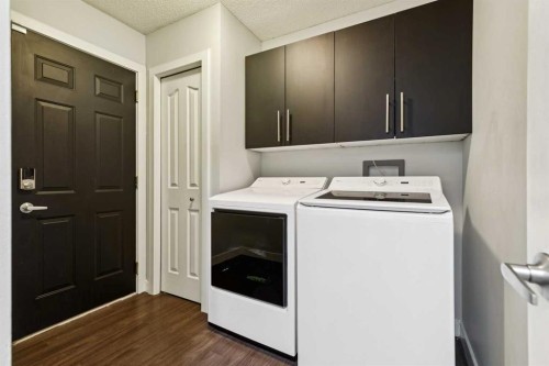 98 Sierra Nevada Green Sw, Calgary, AB - Indoor Photo Showing Laundry Room
