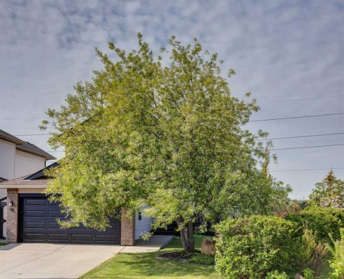 98 Sierra Nevada Green Sw, Calgary, AB - Outdoor