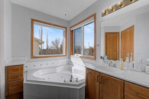 450 Douglas Glen Boulevard Se, Calgary, AB - Indoor Photo Showing Bathroom