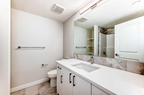 55 Silver Spruce Grove Sw, Calgary, AB - Indoor Photo Showing Bathroom