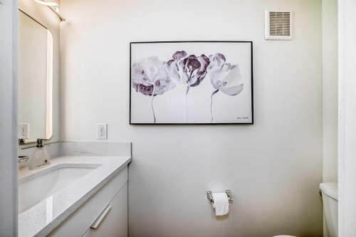 619 Merrill Drive Ne, Calgary, AB - Indoor Photo Showing Bathroom