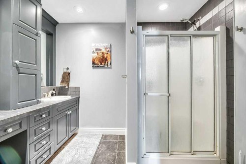 1905 Strathcona Terrace, Strathmore, AB - Indoor Photo Showing Bathroom