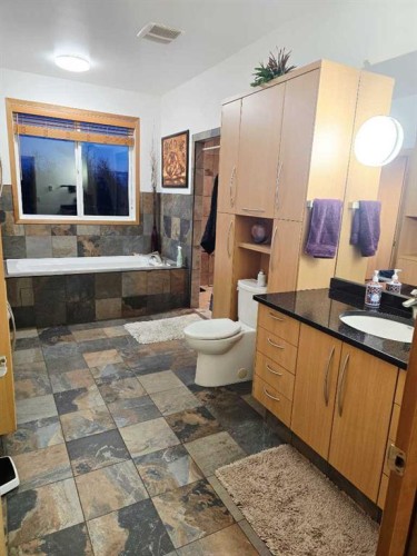 272128 Range Road 291 Ne, Airdrie, AB - Indoor Photo Showing Bathroom